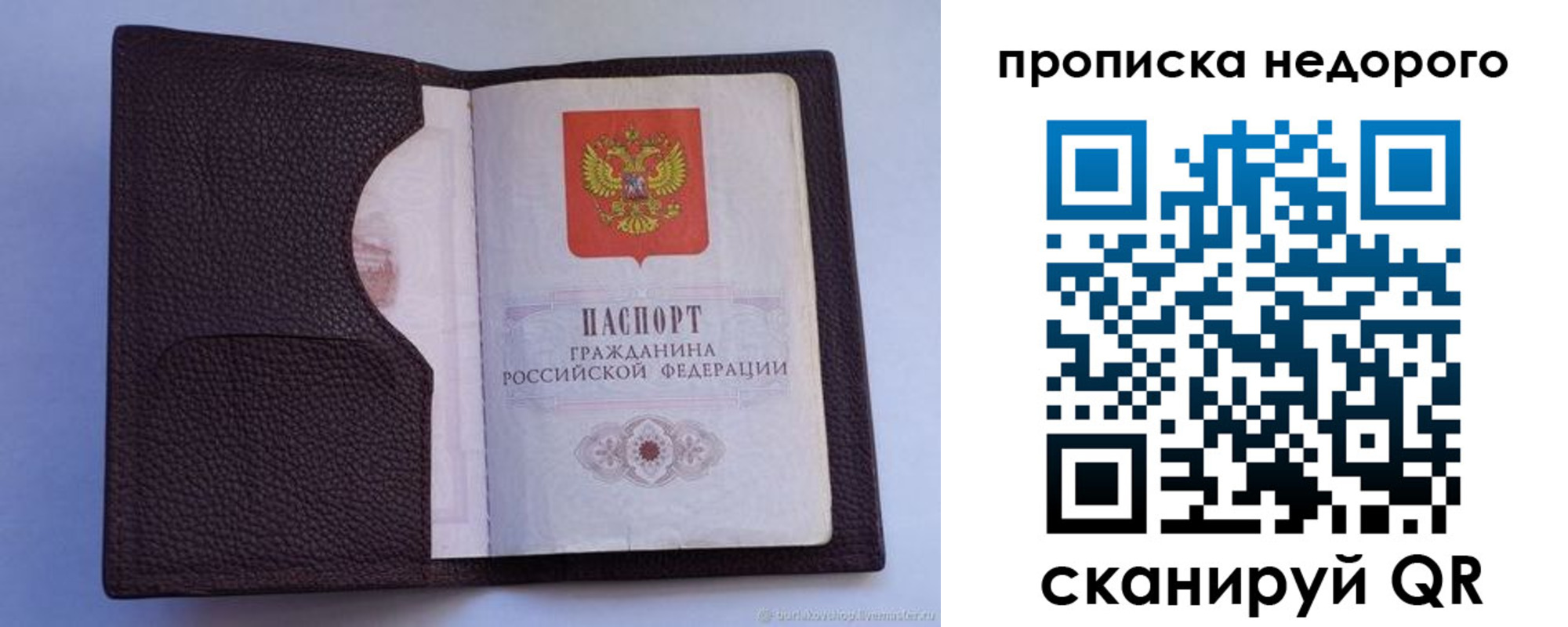 прописка законно в Звенигово